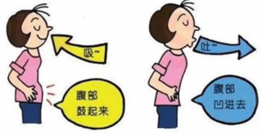 &#20048;&#31454;&#23448;&#32593;&#45;&#20048;&#31454;&#40;&#20013;&#22269;&#41;&#19968;&#31449;&#24335;&#20307;&#32946;&#26381;&#21153;