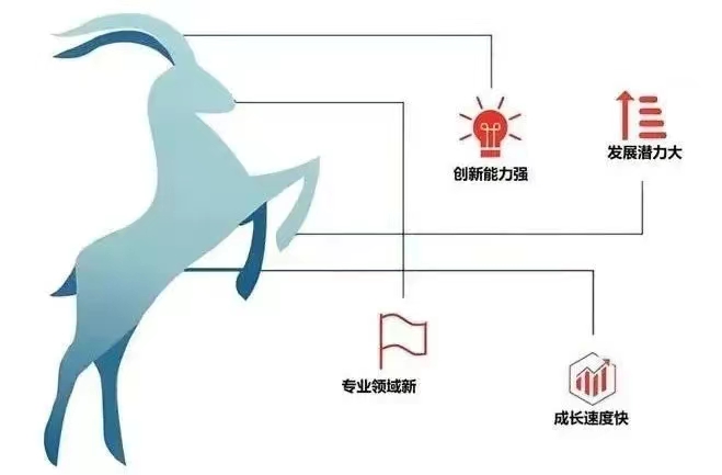 &#20048;&#31454;&#23448;&#32593;&#45;&#20048;&#31454;&#40;&#20013;&#22269;&#41;&#19968;&#31449;&#24335;&#20307;&#32946;&#26381;&#21153;