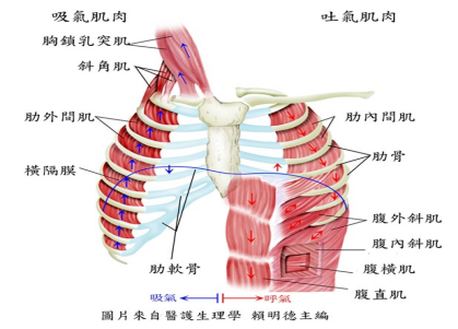 &#20048;&#31454;&#23448;&#32593;&#45;&#20048;&#31454;&#40;&#20013;&#22269;&#41;&#19968;&#31449;&#24335;&#20307;&#32946;&#26381;&#21153;