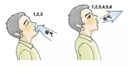 &#20048;&#31454;&#23448;&#32593;&#45;&#20048;&#31454;&#40;&#20013;&#22269;&#41;&#19968;&#31449;&#24335;&#20307;&#32946;&#26381;&#21153;