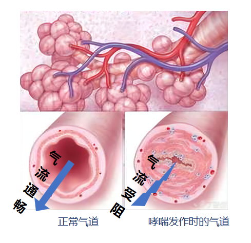 &#20048;&#31454;&#23448;&#32593;&#45;&#20048;&#31454;&#40;&#20013;&#22269;&#41;&#19968;&#31449;&#24335;&#20307;&#32946;&#26381;&#21153;
