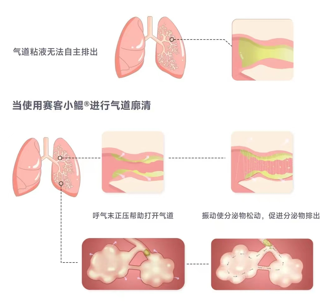 &#20048;&#31454;&#23448;&#32593;&#45;&#20048;&#31454;&#40;&#20013;&#22269;&#41;&#19968;&#31449;&#24335;&#20307;&#32946;&#26381;&#21153;