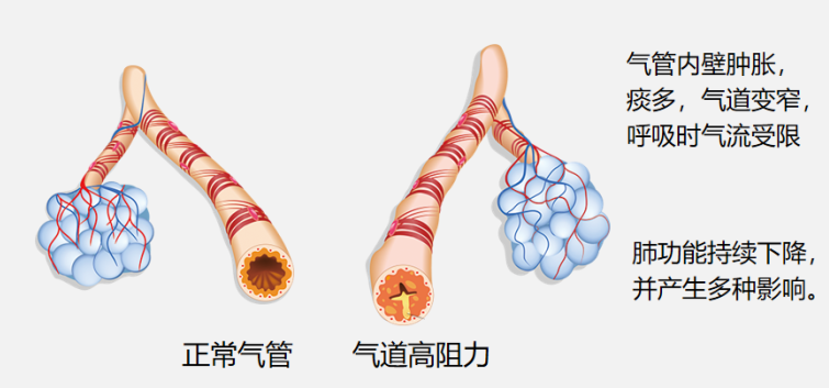 &#20048;&#31454;&#23448;&#32593;&#45;&#20048;&#31454;&#40;&#20013;&#22269;&#41;&#19968;&#31449;&#24335;&#20307;&#32946;&#26381;&#21153;