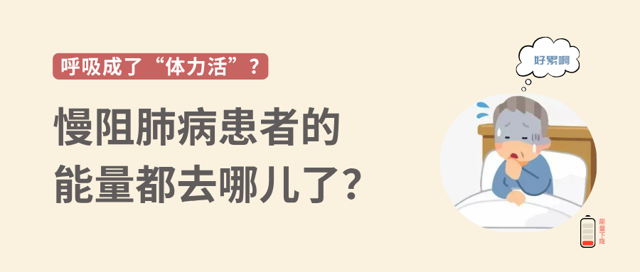 &#20048;&#31454;&#23448;&#32593;&#45;&#20048;&#31454;&#40;&#20013;&#22269;&#41;&#19968;&#31449;&#24335;&#20307;&#32946;&#26381;&#21153;